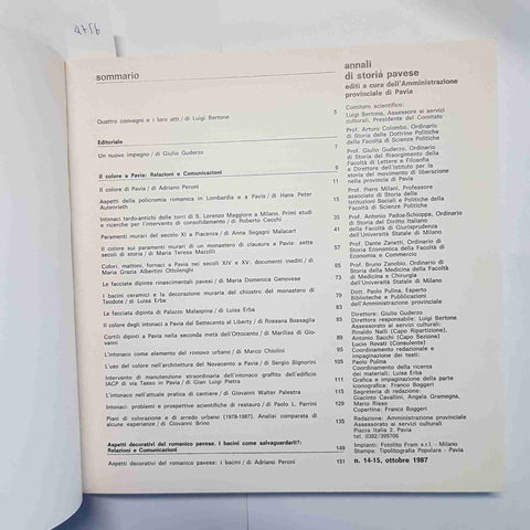 ANNALI DI STORIA PAVESE N. 14-15/1987 IL COLORE A PAVIA ARTE ARCHITETTURA PERONI