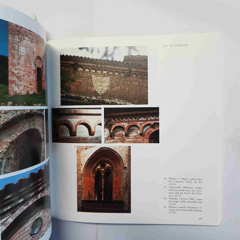 ANNALI DI STORIA PAVESE N. 14-15/1987 IL COLORE A PAVIA ARTE ARCHITETTURA PERONI