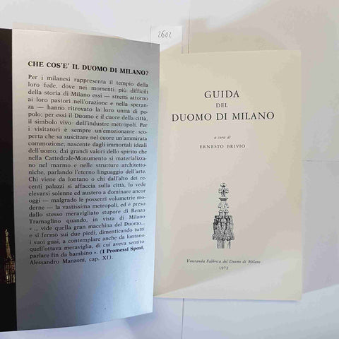 GUIDA DEL DUOMO DI MILANO ERNESTO BRIVIO VENERANDA FABBRICA DEL DUOMO 1972
