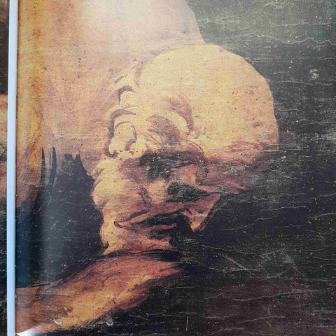 LEONARDO DA VINCI ARTE PITTURA RINASCIMENTO VOLUME ILLUSTRATO BANCO AMBROSIANO