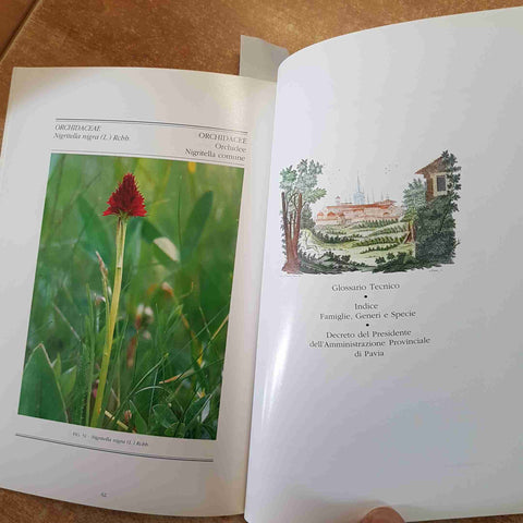FLORA PROTETTA NELLA PROVINCIA DI PAVIA 1991 PIANTE ILLUSTRATO