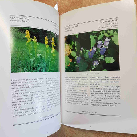 FLORA PROTETTA NELLA PROVINCIA DI PAVIA 1991 PIANTE ILLUSTRATO
