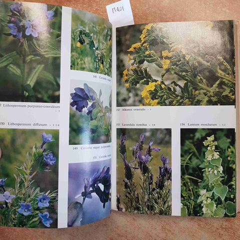 GUIDA ALLA FLORA MEDITERRANEA POLUNIN HUXLEY BOTANICA ILLUSTRATO