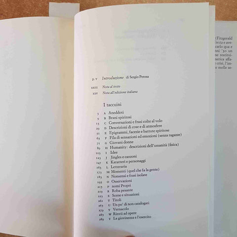 FRANCIS FITZGERALD - I TACCUINI EINAUDI DIARI NOTEBOOKS 1980 Gatsby Tenera notte