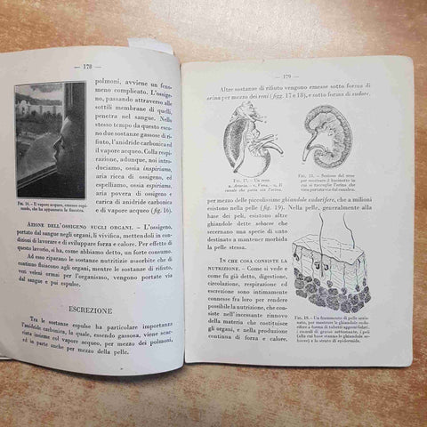 IL LIBRO DELLA IV CLASSE ELEMENTARE ARITMETICA SCIENZE 1939 LIBRERIA DELLO STATO