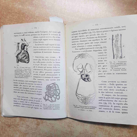 IL LIBRO DELLA IV CLASSE ELEMENTARE ARITMETICA SCIENZE 1939 LIBRERIA DELLO STATO