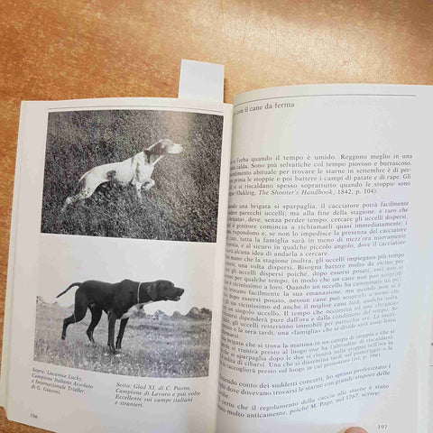 IL POINTER E I SUOI PREDECESSORI ADDESTRAMENTO CACCIA CANI - OLIMPIA ARKWRIGHT