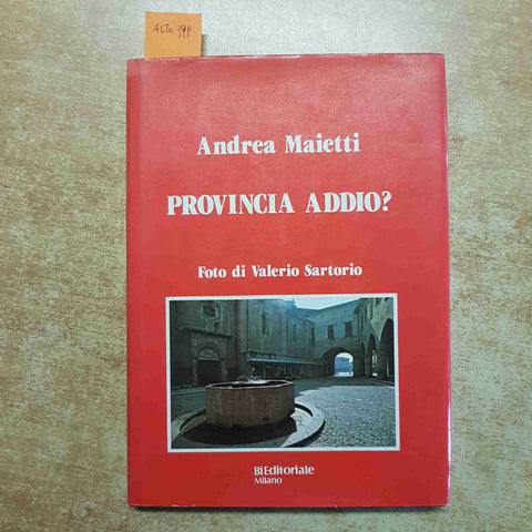 PROVINCIA ADDIO? ANDREA MAIETTI FOTOGRAFIA LODIGIANA E MEMORIA 1984 LODI
