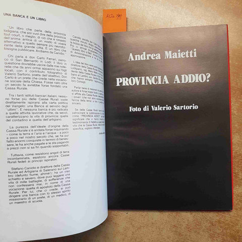 PROVINCIA ADDIO? ANDREA MAIETTI FOTOGRAFIA LODIGIANA E MEMORIA 1984 LODI