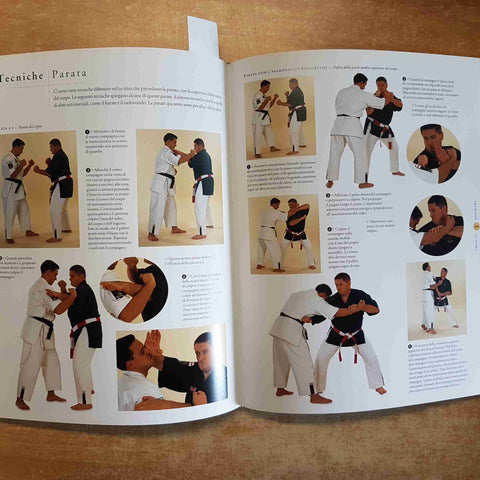 ENCICLOPEDIA DELLE ARTI MARZIALI TAEKWONDO KARATE JUDO KUNG FU 2012 DIX GOODMAN