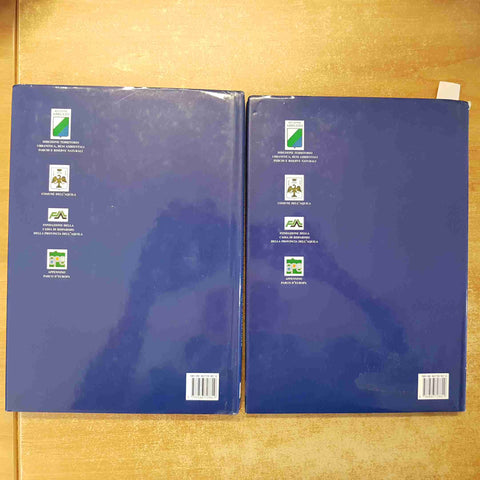RECUPERO E RIQUALIFICAZIONE DEI CENTRI STORICI DEL COMITATUS AQUILANUS 2 VOLUMI