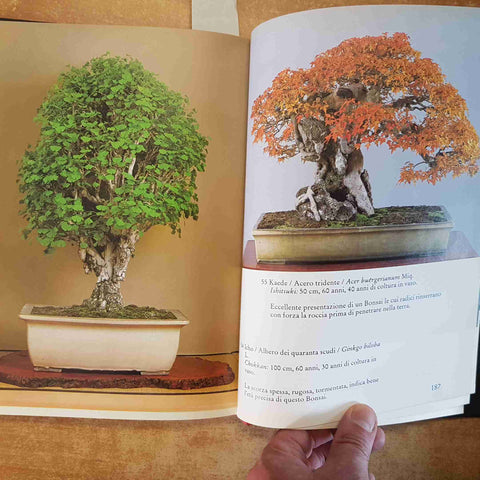 I PIU' BEI BONSAI DEL MONDO TECNICHE STILI COLLEZIONI D'ECCELLENZA 1992 MELITA