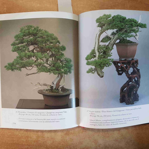 I PIU' BEI BONSAI DEL MONDO TECNICHE STILI COLLEZIONI D'ECCELLENZA 1992 MELITA