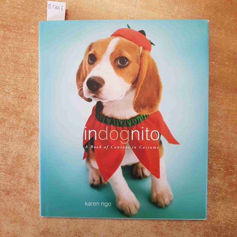 INDOGNITO CANI IN COSTUME FOTOGRAFIE DIVERTENTI KAREN NGO CANI 2008 LITTLE BROWN