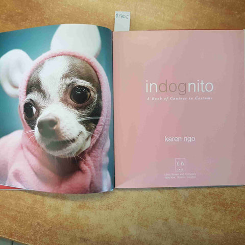 INDOGNITO CANI IN COSTUME FOTOGRAFIE DIVERTENTI KAREN NGO CANI 2008 LITTLE BROWN