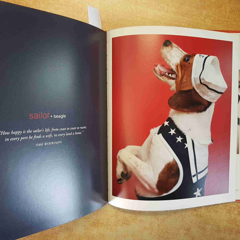 INDOGNITO CANI IN COSTUME FOTOGRAFIE DIVERTENTI KAREN NGO CANI 2008 LITTLE BROWN