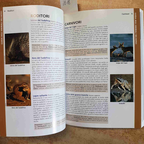 NAMIBIA - LONELY PLANET EDT GUIDA VIAGGIO AFRICA SAFARI 4° EDIZIONE 2002