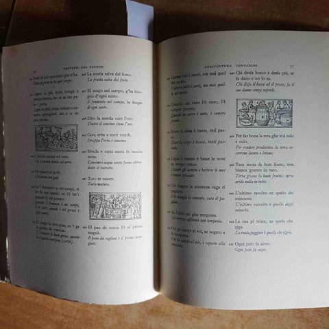 PROVERBI DEL VENETO - G.A. CIBOTTO - ALDO MARTELLO 1966 ILLUSTRATO dialetto