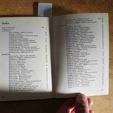 LA CUCINA LODIGIANA - VITTORIO BOTTINI - RICETTE TRADIZIONALI LODI 1990 LODIGRAF