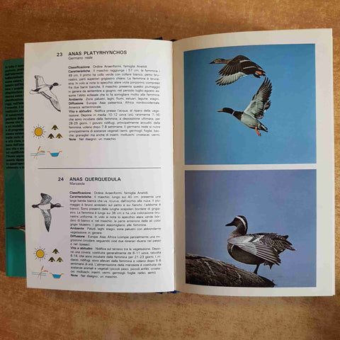 UCCELLI GUIDA ILLUSTRATA AL RICONOSCIMENTO DELLE SPECIE - MONDADORI 1990 BOLOGNA