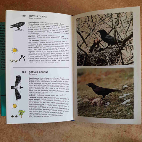 UCCELLI GUIDA ILLUSTRATA AL RICONOSCIMENTO DELLE SPECIE - MONDADORI 1990 BOLOGNA