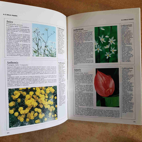 ENCICLOPEDIA PRATICA DEL GIARDINAGGIO DE AGOSTINI 500 SCHEDE A COLORI 1993