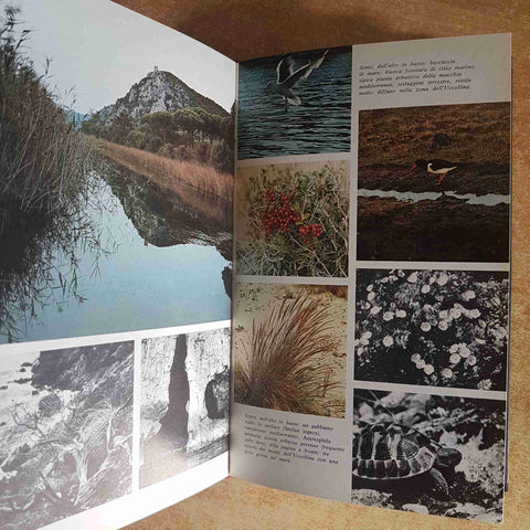 GUIDA ALLA NATURA DELLA TOSCANA E DELL'UMBRIA WWF 1976 PRATESI TASSI MONDADORI