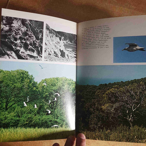 GUIDA ALLA NATURA DELLA TOSCANA E DELL'UMBRIA WWF 1976 PRATESI TASSI MONDADORI
