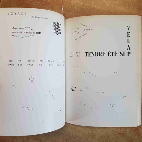 APOLLINAIRE IL PROFETA - LUIGI CAVALLO - 1978 GALLERIA IL MAPPAMONDO
