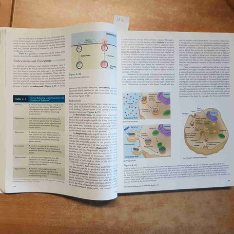 VANDER'S HUMAN PHYSIOLOGY 11TH EDITION WIDMAIER RAFF STRANG 2008 MCGRAW-HILL