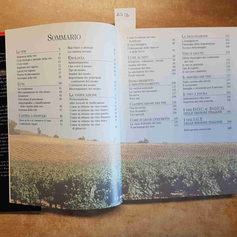 IL LIBRO COMPLETO DEL VINO - GIUSEPPE SICHERI - DE AGOSTINI 2008 ENOLOGIA