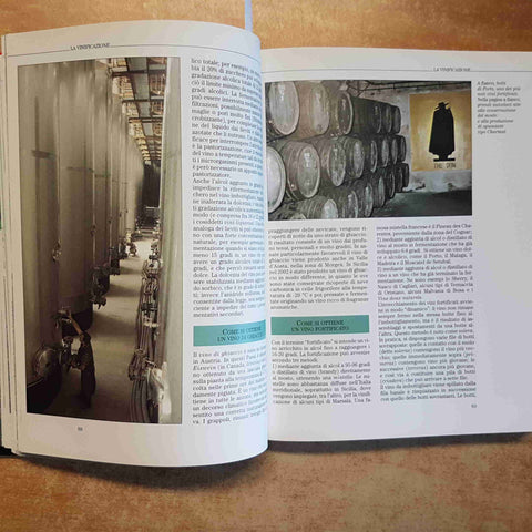 IL LIBRO COMPLETO DEL VINO - GIUSEPPE SICHERI - DE AGOSTINI 2008 ENOLOGIA