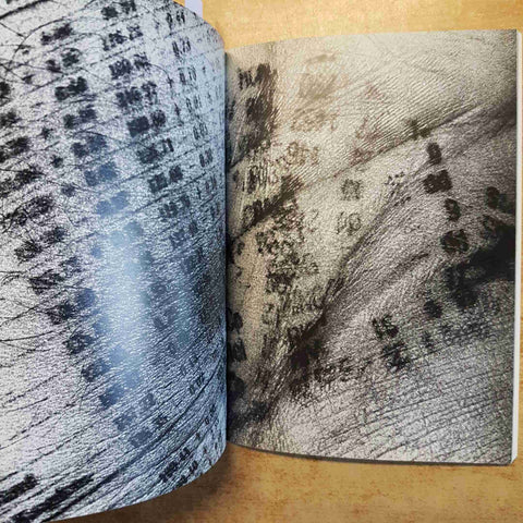 DOMESDAY BOOK  PETER KENNARD FOREWORD BY HAROLD PINTER 1999 FOTOGRAFIA ARTE