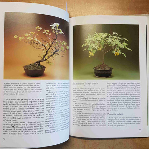 BONSAI - CHRISTINE STEWART MANUALE COLTIVAZIONE POTATURA 1986 GORLICH DE AGOSTIN