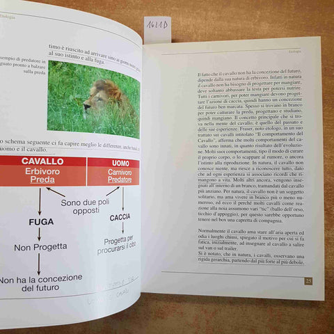 L'EQUITAZIONE E I SUOI SEGRETI manuale didattico PIERO ACQUARO 2011 SEF ITALIA