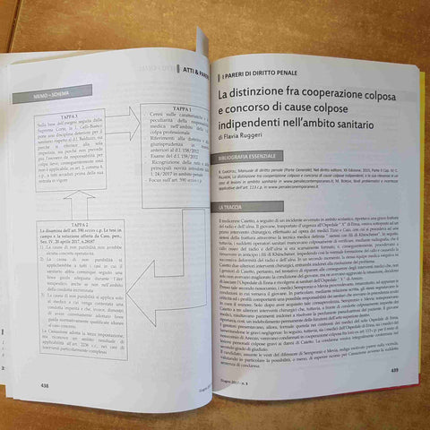 ATTI & PARERI 3 2017 RIVISTA AVVOCATO ROBERTO GAROFOLI - NEL DIRITTO EDITORE