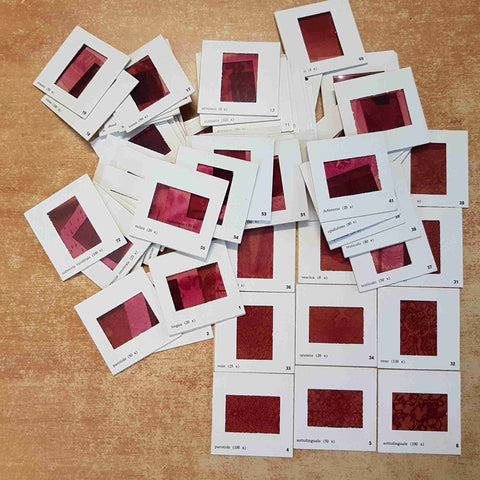 COLLEZIONE 72 DIAPOSITIVE ISTOLOGICHE PER MICROSCOPIO CON SCATOLA PORTASIGARI