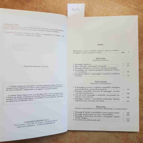 PAESAGGI COME? GEOGRAFIE GEO-FICTION - ELIO MANZI 2001 LOFFREDO EDITORE GEOGRAFI