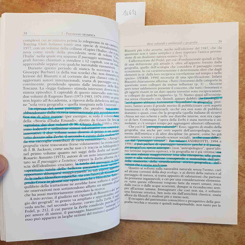 PAESAGGI COME? GEOGRAFIE GEO-FICTION - ELIO MANZI 2001 LOFFREDO EDITORE GEOGRAFI