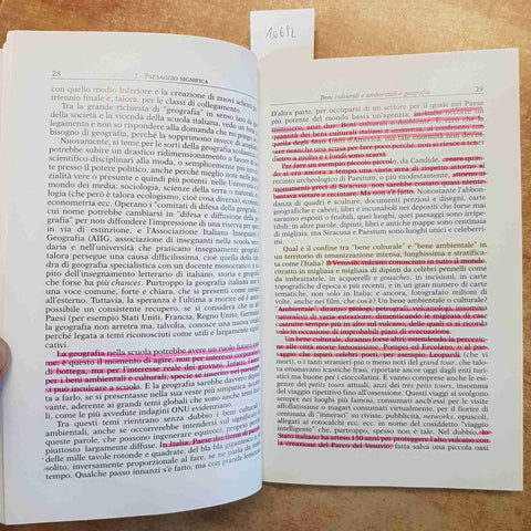 PAESAGGI COME? GEOGRAFIE GEO-FICTION - ELIO MANZI 2001 LOFFREDO EDITORE GEOGRAFI