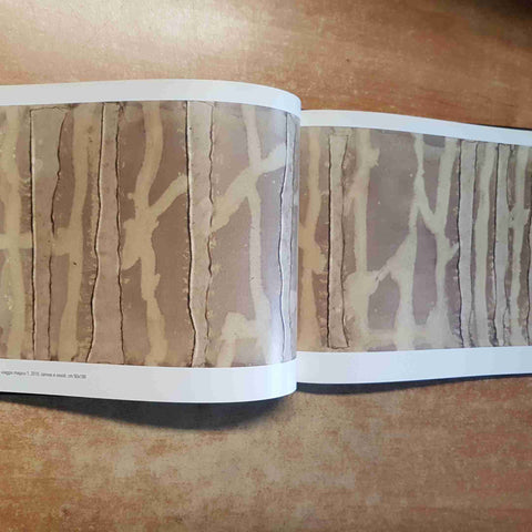 FRANCA PISANI - ATTRAVERSAMENTI catalogo 2010 MARETTI EDITORE ARTE CONTEMPORANEA