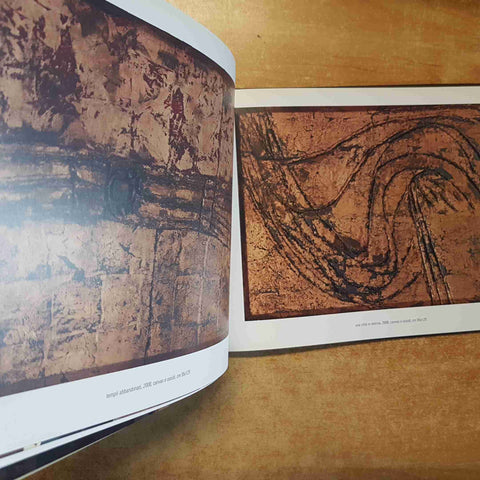 FRANCA PISANI - ATTRAVERSAMENTI catalogo 2010 MARETTI EDITORE ARTE CONTEMPORANEA