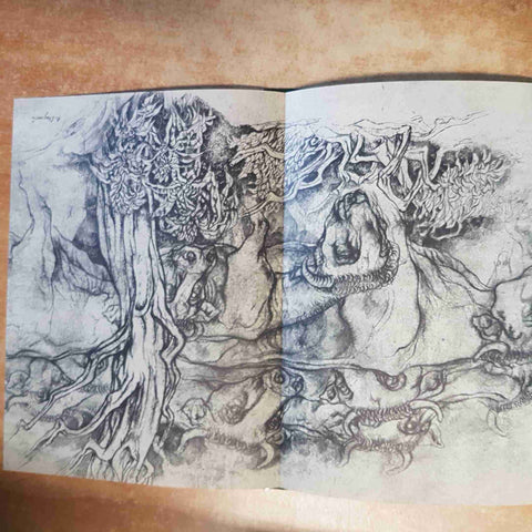 ANTONIO STAGNOLI - CATALOGO - SPIAZZI, CASSA SALVI 1974 GRAFO EDIZIONI BRESCIA