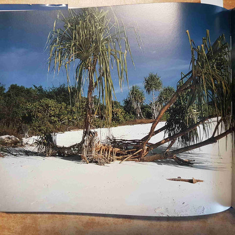 SIMPLEMENTE ZANZIBAR - JAFFERJI, PITCHER - GALLERY PUBLICATIONS 2006 SPAGNOLO!!!