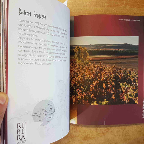 LO SPETTACOLO DELLA RIBERA MATTIA BARBOTTI TRENTA EDITORE 2018 VINO DUERO SPAGNA