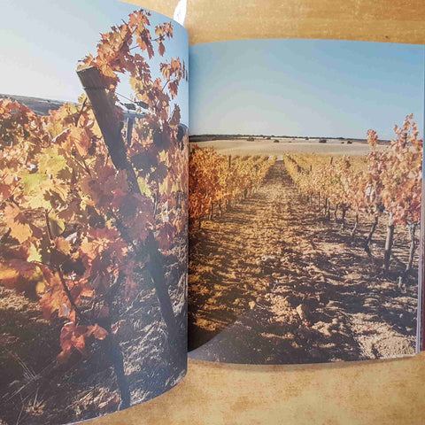 LO SPETTACOLO DELLA RIBERA MATTIA BARBOTTI TRENTA EDITORE 2018 VINO DUERO SPAGNA