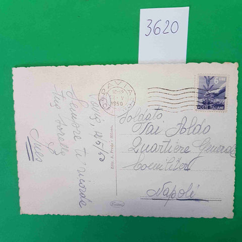PAVIA LUNGO IL TICINO CARTOLINA VIAGGIATA 1950 FRANCOBOLLO 6 LIRE ED. A. PREDA