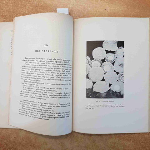 PIER CARLO LANDUCCI - ESISTE DIO? SCIENZA FILOSOFIA RELIGIONE III EDIZIONE 1951