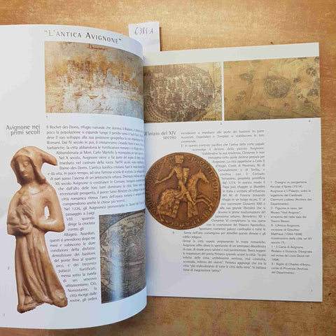 IL PALAZZO DEI PAPI AVIGNONE GUIDA DELLA VISITA 2001 ARTE STORIA ARCHITETTURA
