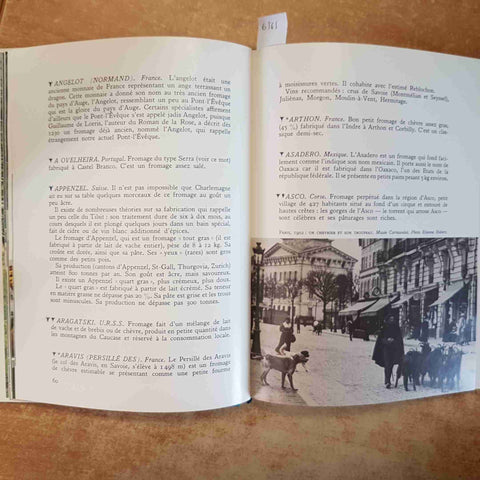 CHRISTIAN PLUME - LE LIVRE DU FROMAGE ENCYCLOPEDIE 700 FORMAGGI RICETTE